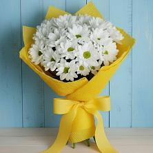 Букет цветов из:  Хризантемы в Прохоровке