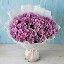 Букет цветов из:  Хризантемы в Прохоровке