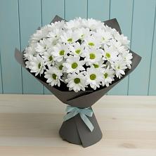 Букет цветов из:  Хризантемы в Прохоровке