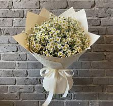 Букет цветов из:  Ромашки в Прохоровке
