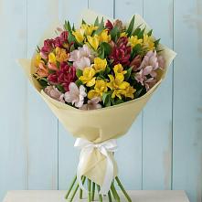 Букет цветов из:  Альстромерии в Прохоровке