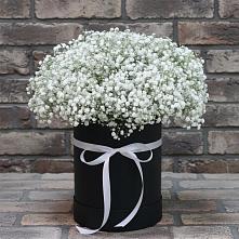 Цветочная композиция из Гипсофила в шляпной коробке в Прохоровке