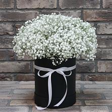 Цветочная композиция из Гипсофила в шляпной коробке в Прохоровке