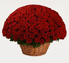 Премиум букет из: Розы в Прохоровке