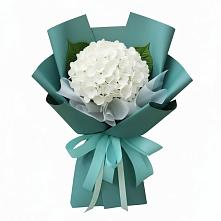 Букет цветов из:  Гортензия в Прохоровке